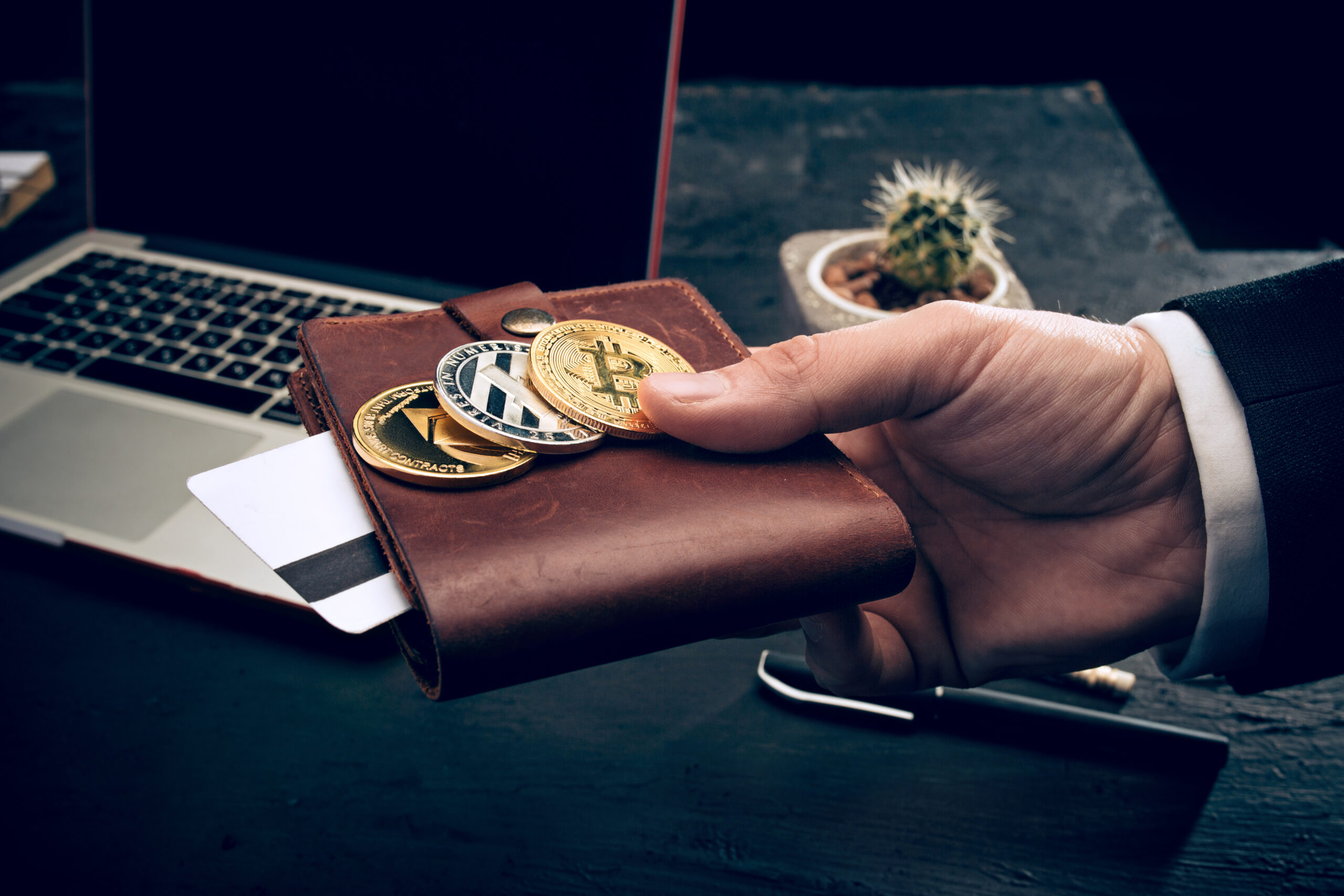 Person holding a golden Bitcoin and leather wallet, representing personal crypto storage and wallet selection.